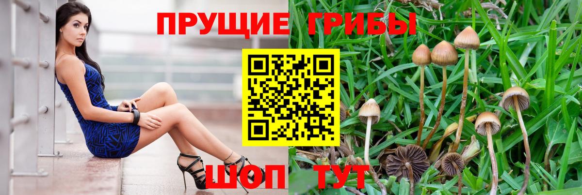 Псилоцибиновые грибы ЛСД  Галлюциногенные грибы Magic Shrooms  Вход с VPN  Медногорск 